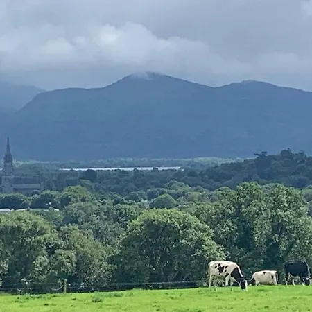 Town View Killarney