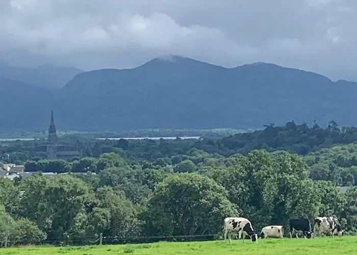 Town View Killarney