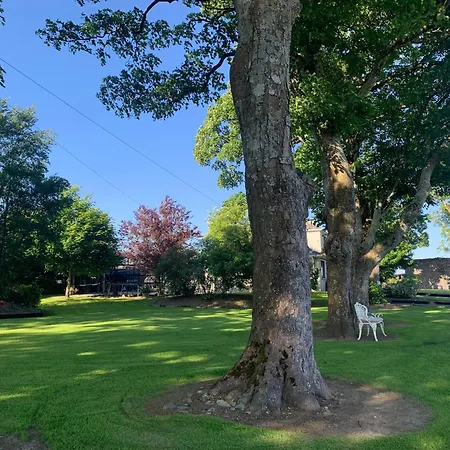 Town View * Killarney