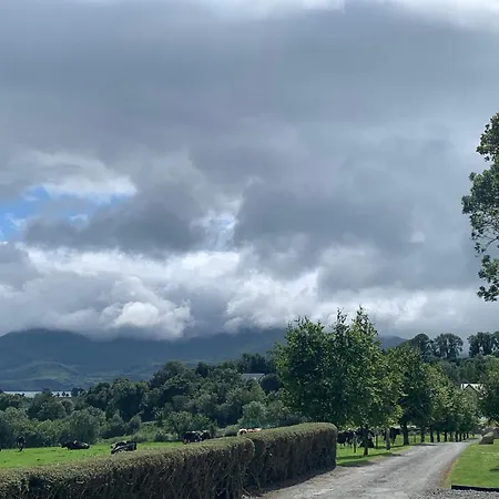 Town View Killarney
